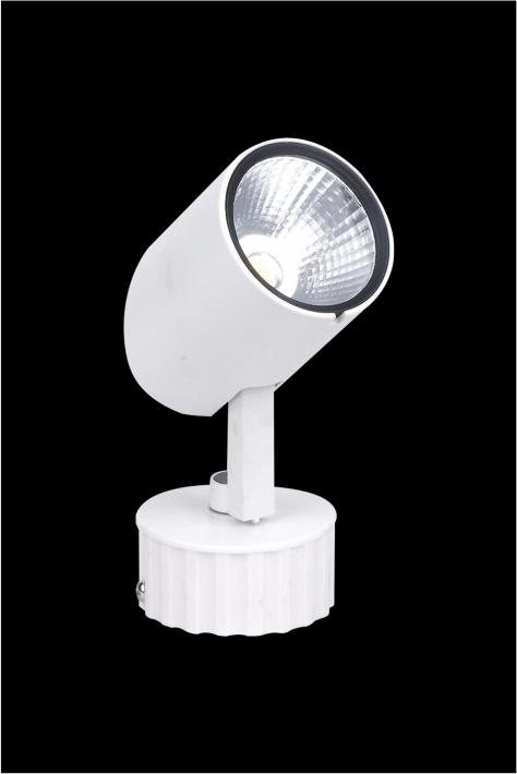 ĐÈN RAY E-029